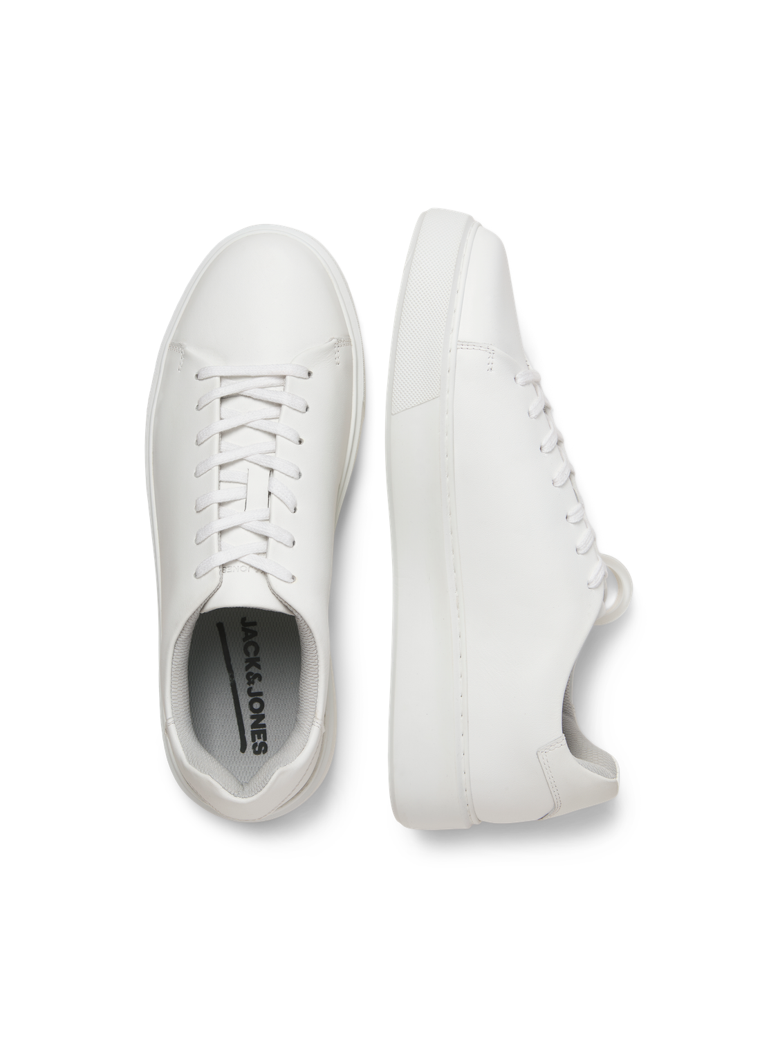 model_shot-front_full